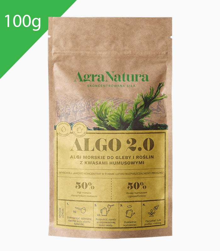Algo 2.0