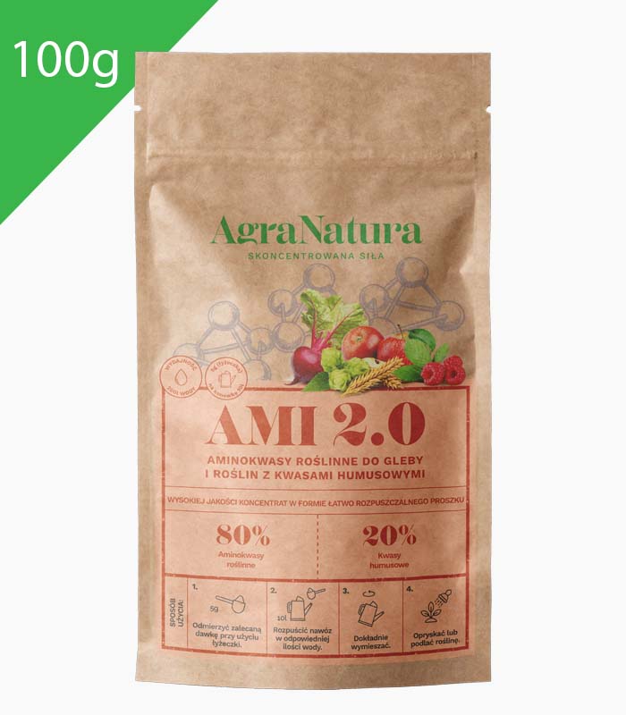 Ami 2.0