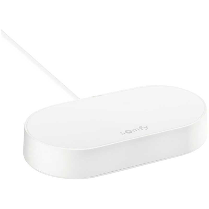 SOMFY Zestaw do bramy skrzydłowej SGS Essential Connect