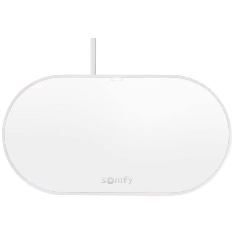 SOMFY Zestaw do bramy skrzydłowej SGS Essential Connect