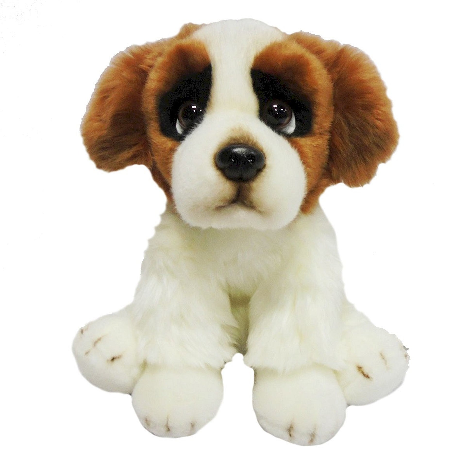 Pies Bernardyn 30 Cm