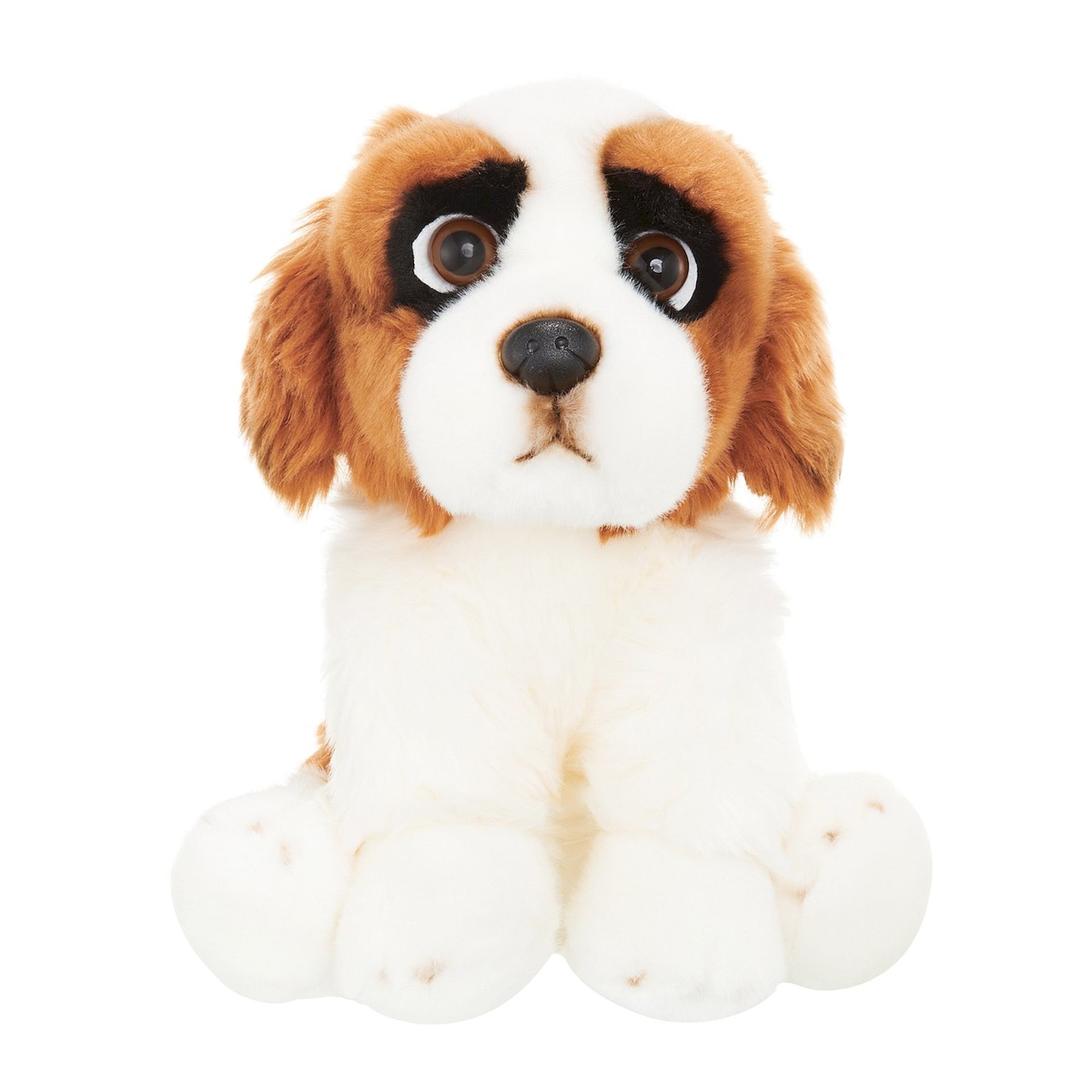 Pies Bernardyn 30 Cm