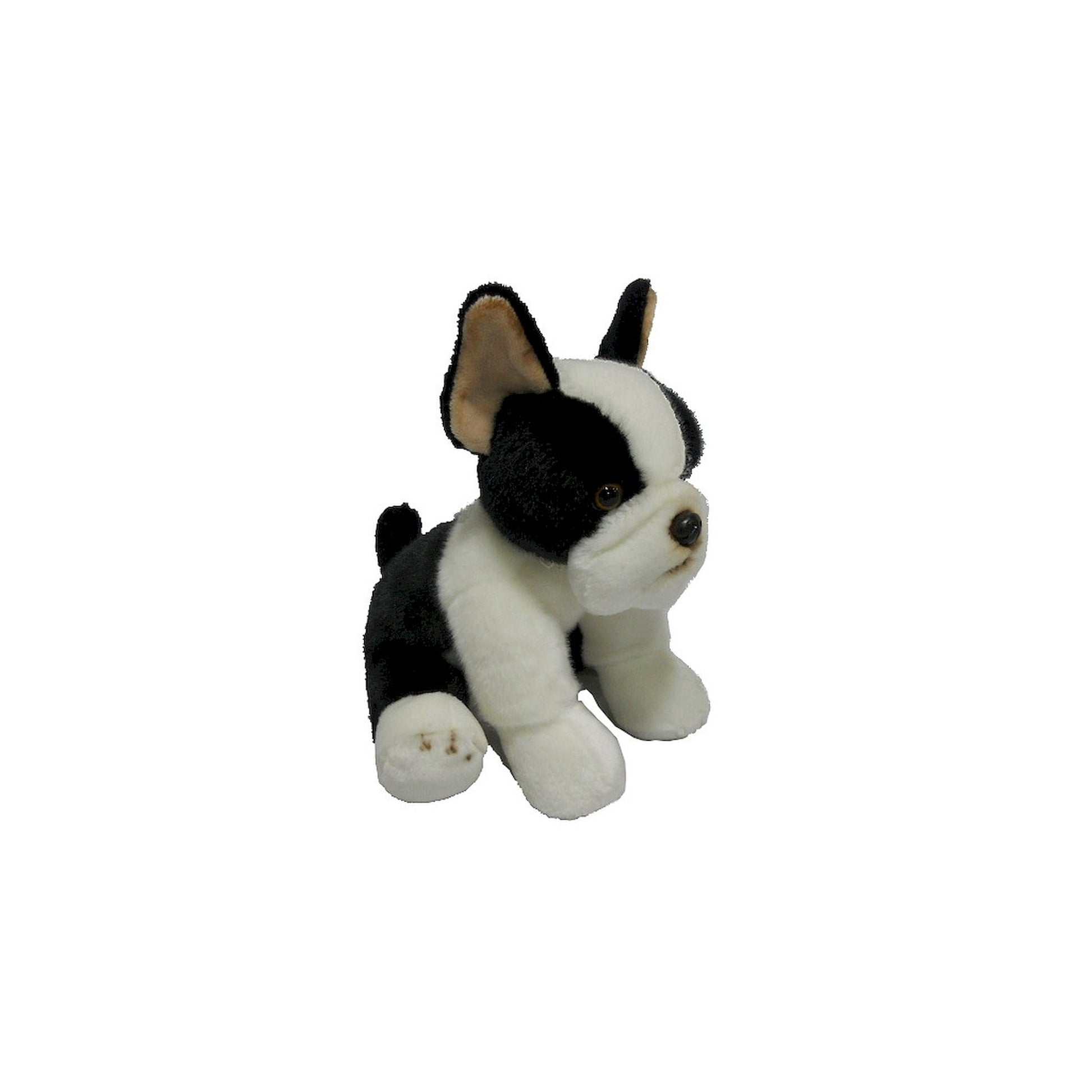 Pies Boston Terrier 30Cm.-10