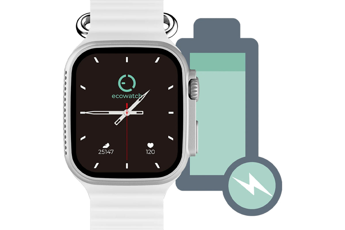 Smartwatch MAXCOM EW02 Srebrny
