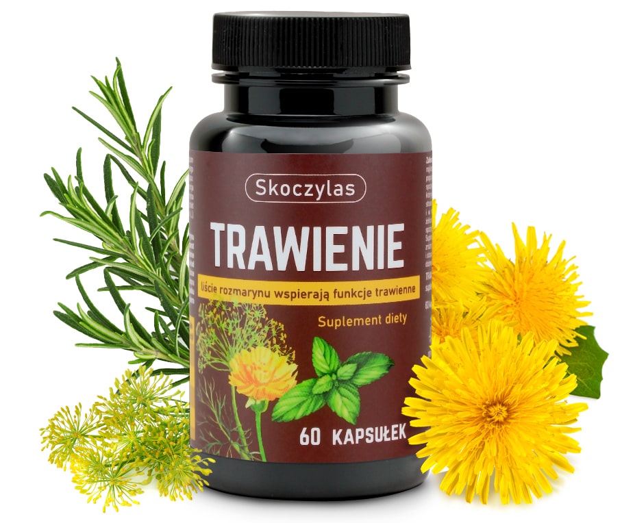 TRAWIENIE mniszek, koper, mięta