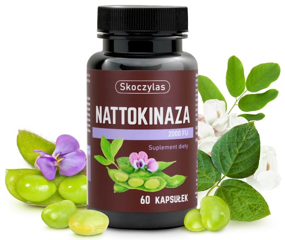 NATTOKINAZA 2000 FU