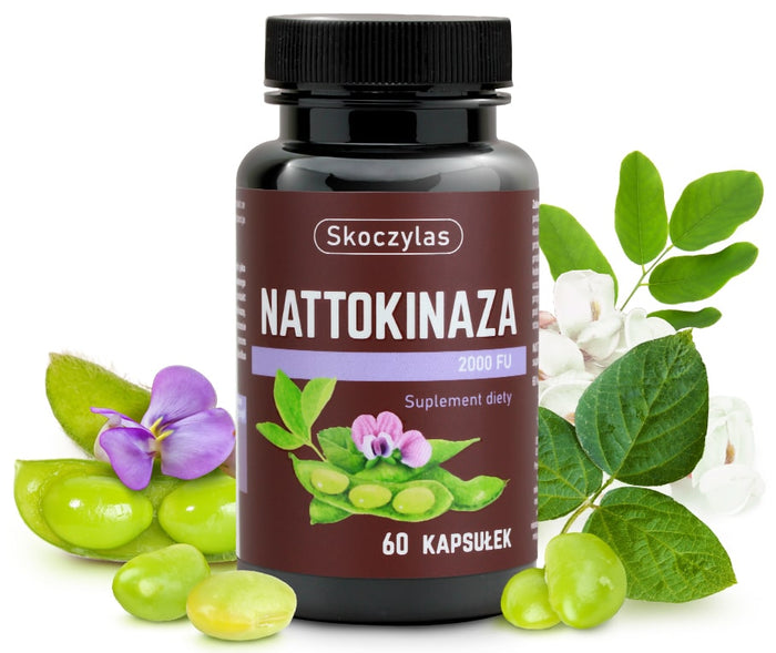 NATTOKINAZA 2000 FU