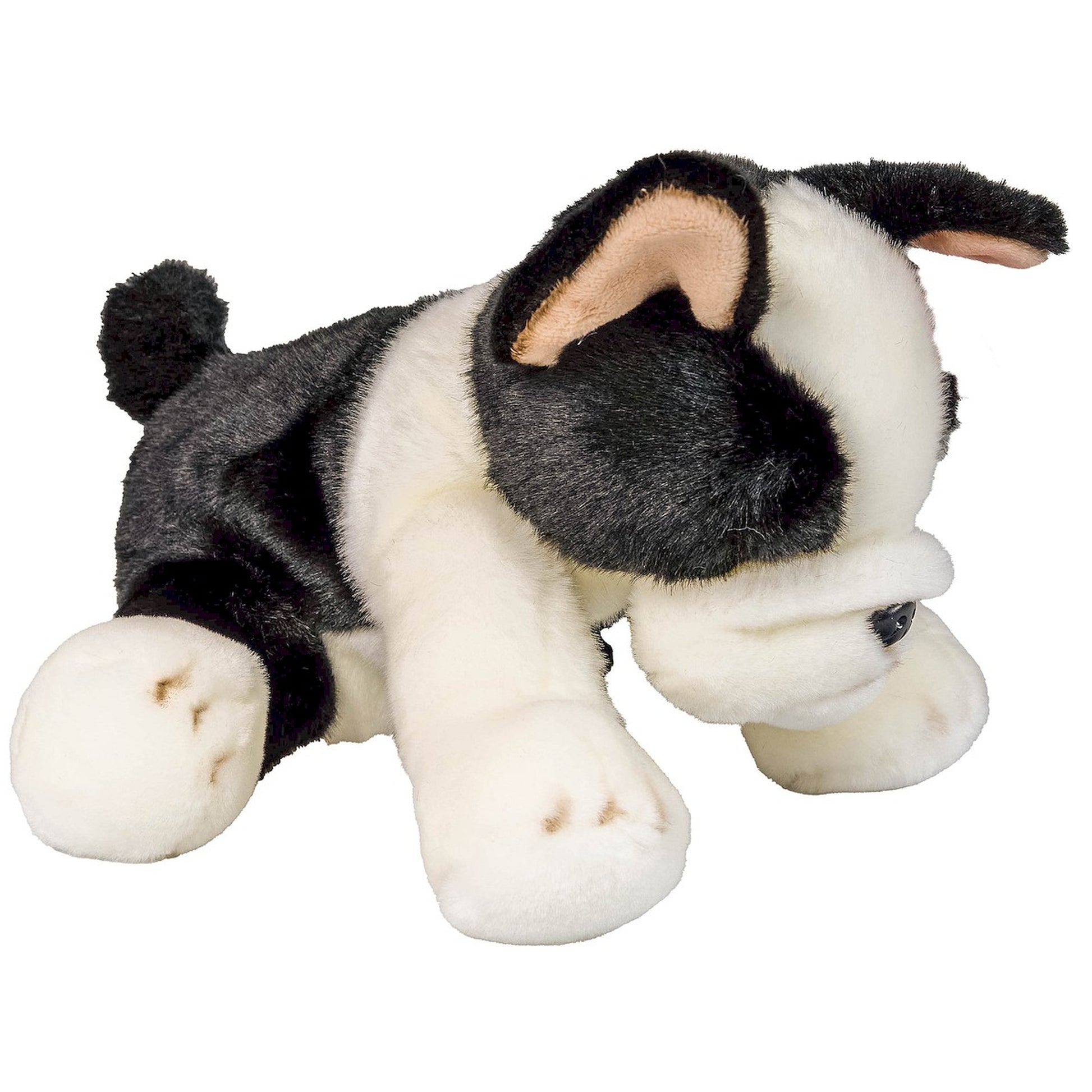 Pies Boston Terrier 30Cm.-2