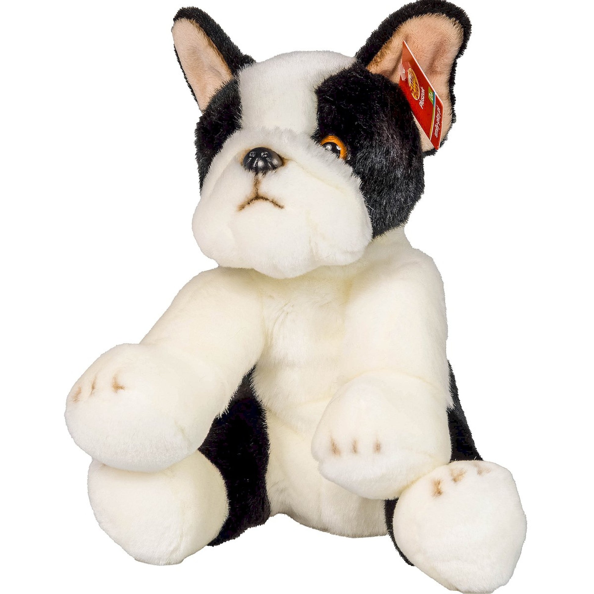 Pies Boston Terrier 30Cm.-4