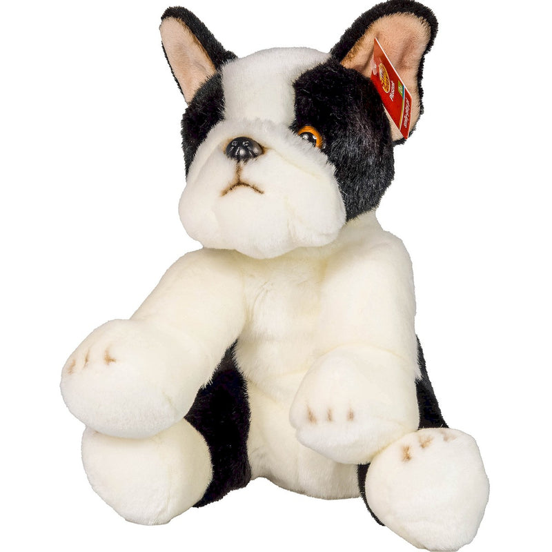 Pies Boston Terrier 30Cm.-4