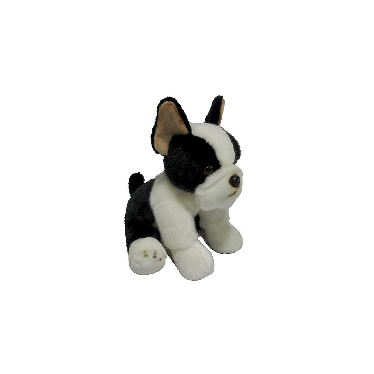 Pies Boston Terrier 30Cm.