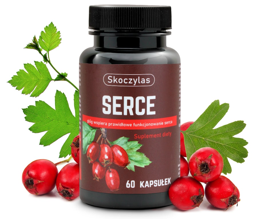 SERCE głóg, serdecznik, L-lizyna