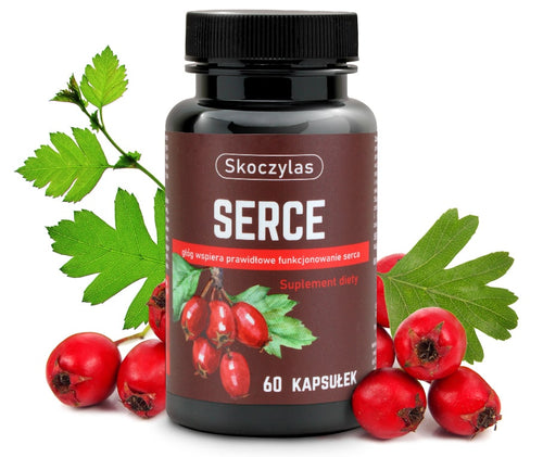 SERCE głóg, serdecznik, L-lizyna
