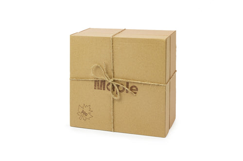 Klocki Maple EcoPack 300 szt