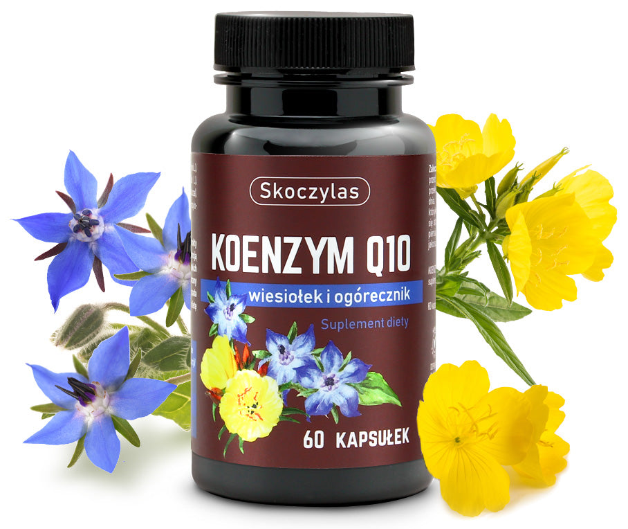 KOENZYM Q10 wiesiołek, ogórecznik