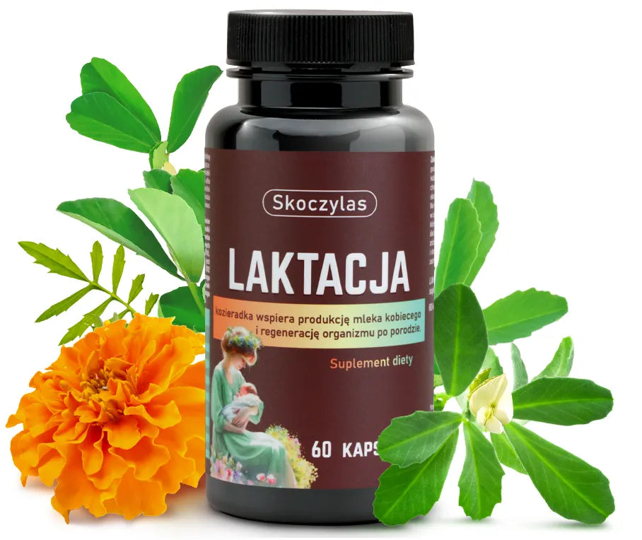 LAKTACJA dla kobiet karmiących